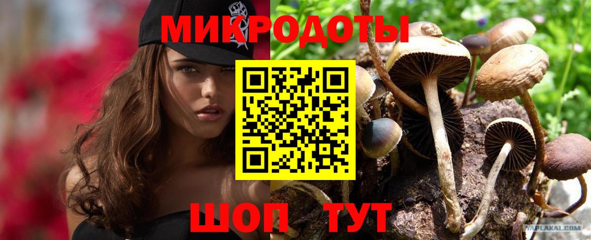 Псилоцибиновые грибы Psilocybe  Вход с VPN  Галлюциногенные грибы прущие грибы  Кингисепп 