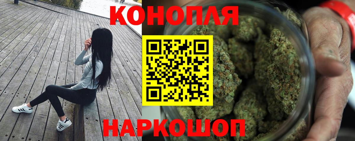 Конопля сатива Кингисепп